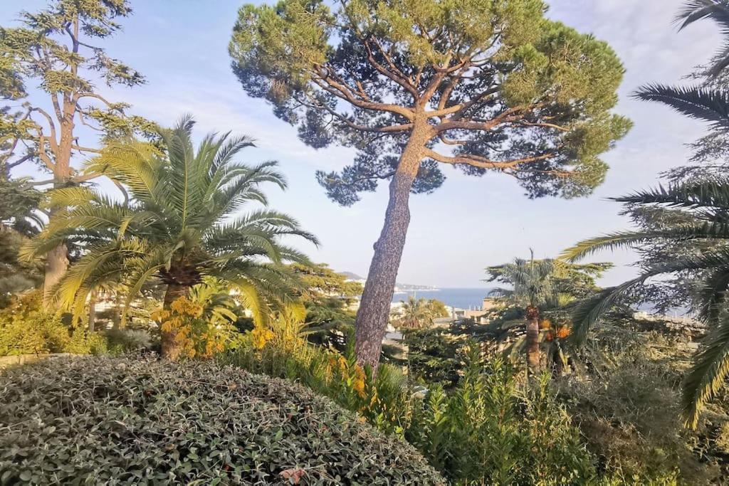 Appartement Nice Centre Vue Mer Avec Piscine Pour Famille, Couple D'Amis Pas De Groupes De Jeunes Autorises Exterior foto